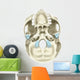 Base Human Skull Inferior Wall Decal Design 2
