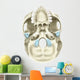 Base Human Skull Inferior Wall Decal Design 2