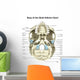 Base Human Skull Inferior Wall Decal Design 1