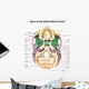 Colored Base Human Skull Wall Decal Design 1