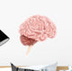 Human Brain Anatomy Lateral Wall Decal Design 1