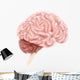 Human Brain Anatomy Lateral Wall Decal Design 1