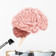 Human Brain Anatomy Lateral Wall Decal Design 1