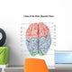 Superior Human Brain with Wall Decal Design 2