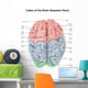 Superior Human Brain with Wall Decal Design 2