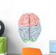 Superior Human Brain with Wall Decal Design 1