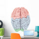 Superior Human Brain with Wall Decal Design 1