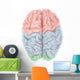 Superior Human Brain with Wall Decal Design 1