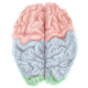 Superior Human Brain with Wall Decal Design 1
