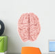 Superior Human Brain Wall Decal