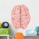 Superior Human Brain Wall Decal