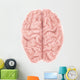Superior Human Brain Wall Decal