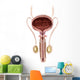 Anatomy Male Urinary Bladder Wall Decal