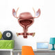Anatomy Female Urinary Bladder Wall Decal Design 2
