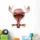 Anatomy Female Urinary Bladder Wall Decal Design 2