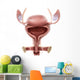 Anatomy Female Urinary Bladder Wall Decal Design 2