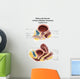 Anatomy Male and Female Wall Decal Design 2