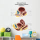 Anatomy Male and Female Wall Decal Design 2