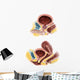 Anatomy Male and Female Wall Decal Design 1