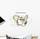 Anterior Human Pelvis with Wall Decal