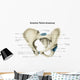 Anterior Human Pelvis with Wall Decal