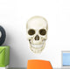 Anterior Human Skull Wall Decal