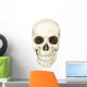 Anterior Human Skull Wall Decal