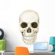 Anterior Human Skull Wall Decal