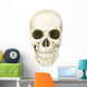 Anterior Human Skull Wall Decal