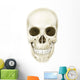 Anterior Human Skull Wall Decal