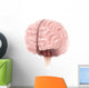 Brain Surface Anatomy Wall Decal