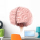 Brain Surface Anatomy Wall Decal