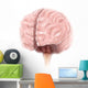 Brain Surface Anatomy Wall Decal