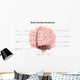 Brain Surface Anatomy with Wall Decal