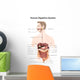 Human Digestive System with Wall Decal