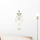 Anterior Human Skeletal System Wall Decal Design 2