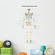 Anterior Human Skeletal System Wall Decal Design 1