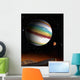 Planet Blanketed with Orgy Wall Decal