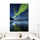 Aurora Borealis over Sandvannet Wall Decal Design 2