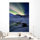 Aurora Borealis over Mikkelfjellet Wall Decal