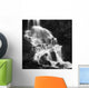 Roasto Waterfall Nordland Norway Wall Decal