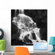 Roasto Waterfall Nordland Norway Wall Decal