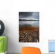 Geology Lines Sandvannet Lake Wall Decal