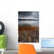 Geology Lines Sandvannet Lake Wall Decal