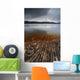 Geology Lines Sandvannet Lake Wall Decal