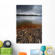Geology Lines Sandvannet Lake Wall Decal