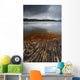 Geology Lines Sandvannet Lake Wall Decal