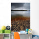 Geology Lines Sandvannet Lake Wall Decal