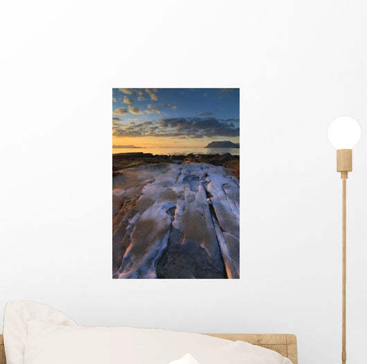 Summer Evening Looking out Wall Decal