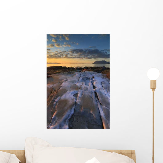 Summer Evening Looking out Wall Decal